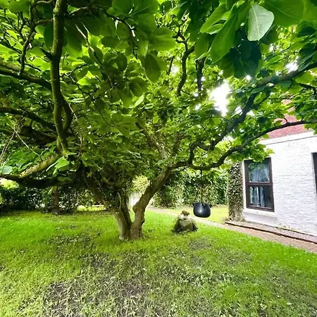 Bright Apartment In Emden With Terrace 60 M² شقة *